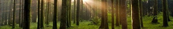 risparmio energetico Preferire il naturale è indispensabile per rispettare noi stessi e i nostri figli
