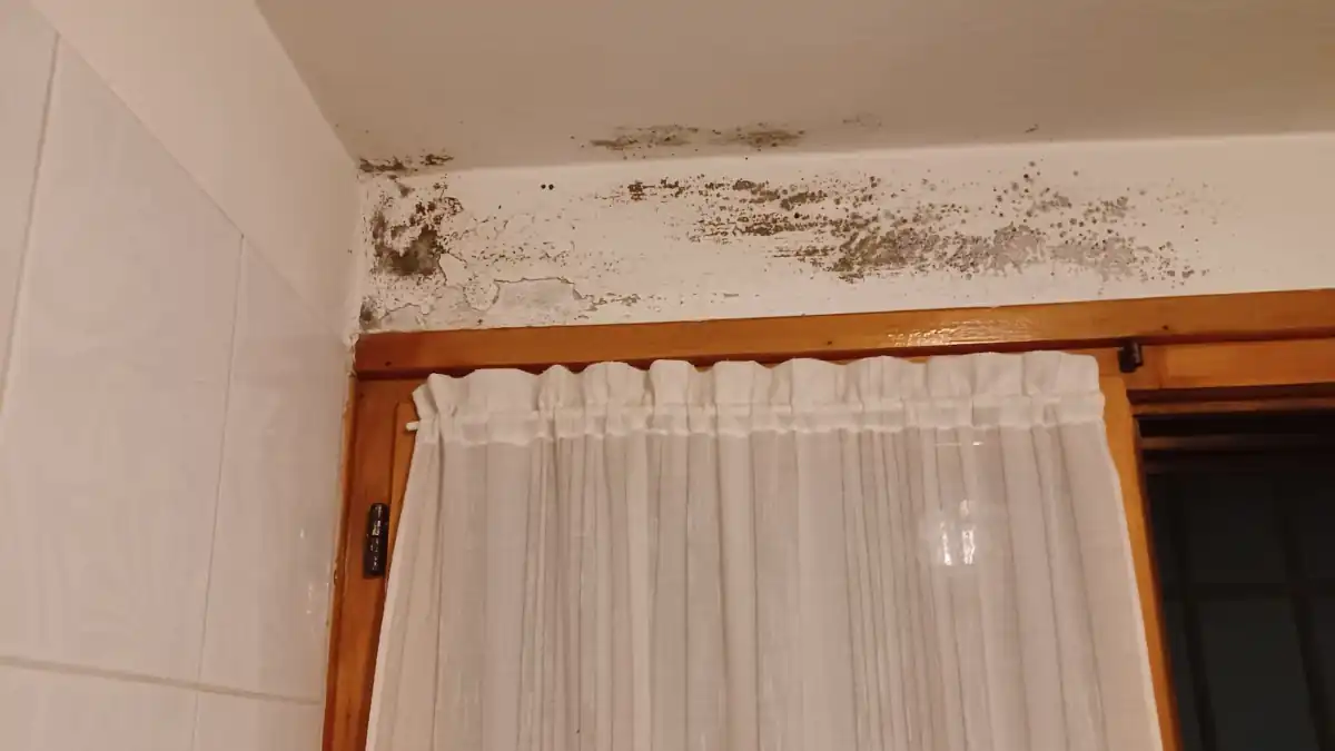 umidità sui muri di casa
