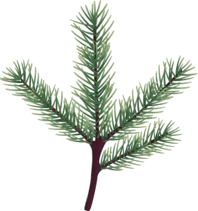 ingrosso pellet Cesena 1 abete