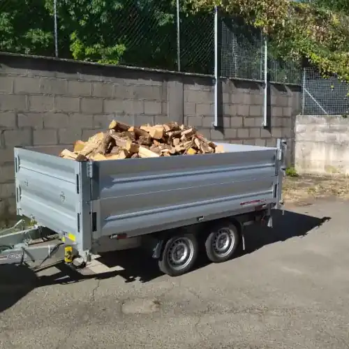 rimorchio500 20 ql di legna